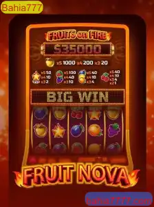 Descobrindo o Universo de FruitNova: Um Mergulho nas Regras e Dinâmicas do Jogo